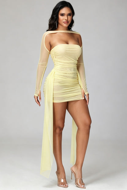 Matilda Sheer Ruched Dress
