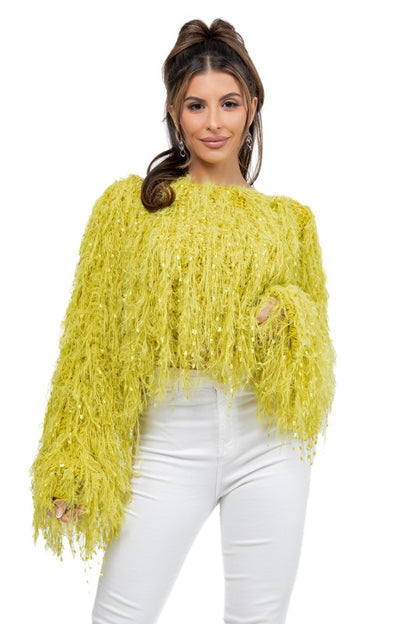 Fuzzy Glow Sequin Sweater
