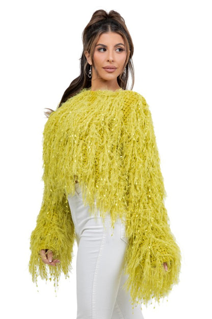 Fuzzy Glow Sequin Sweater